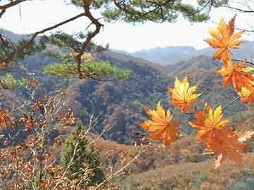 青海西宁两起坠楼悲剧，原因待查，心理健康问题引深思